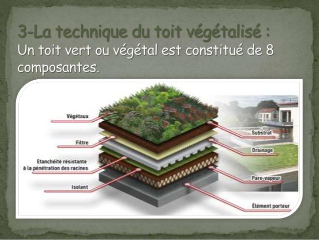 Toiture vegetalise construction